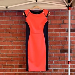 Bright Coral Bodycon stretchy fitted size 8 dress